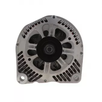Alternateur BV PSH 455.507.120.008