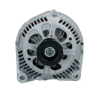 Alternateur BV PSH 455.507.150.008