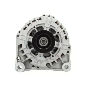 Alternateur BV PSH 455.511.100.500