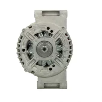Alternateur BV PSH 455.517.150.210