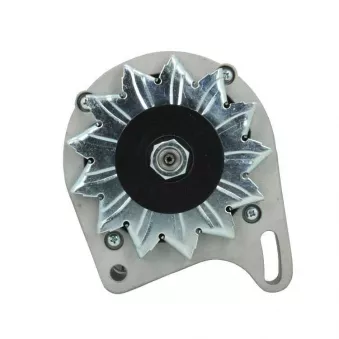 Alternateur BV PSH 465.003.065.010