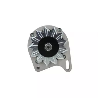 Alternateur BV PSH 465.003.065.018