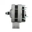Alternateur BV PSH 485.003.075.000 - Visuel 2