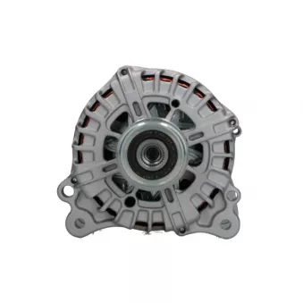 Alternateur BV PSH 485.505.220.000