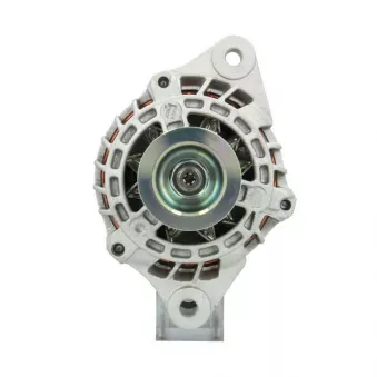 Alternateur BV PSH 495.501.085.260