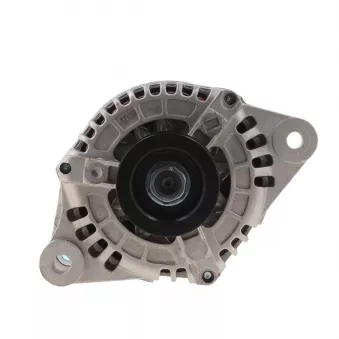 Alternateur BV PSH 495.501.100.058