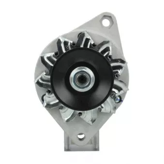 Alternateur BV PSH 505.002.033.010