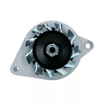 Alternateur BV PSH 505.002.033.098