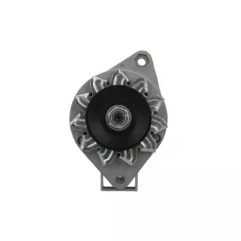 Alternateur BV PSH 505.002.033.311