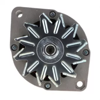 Alternateur BV PSH 505.003.065.058