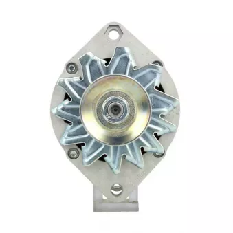 Alternateur BV PSH 505.003.065.311