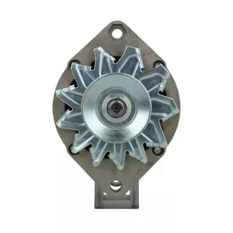 Alternateur BV PSH 505.004.055.311