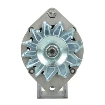 Alternateur BV PSH 505.006.065.311