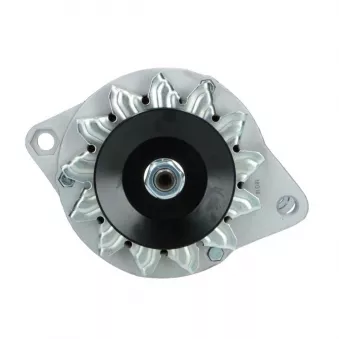 Alternateur BV PSH 505.008.045.058