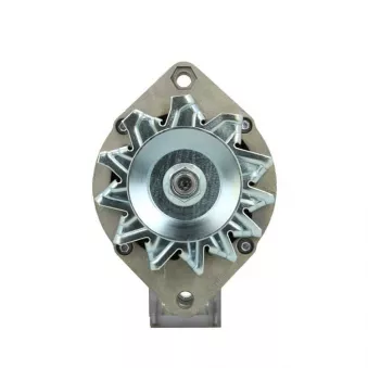 Alternateur BV PSH 505.008.055.311