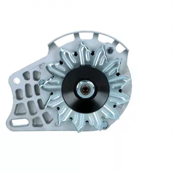 Alternateur BV PSH 505.012.055.058