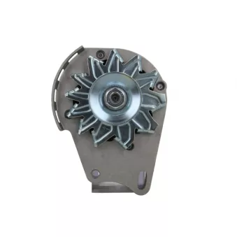 Alternateur BV PSH 505.012.055.311