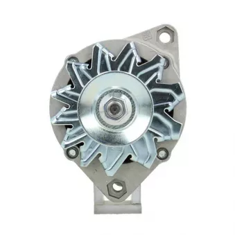 Alternateur BV PSH 505.016.065.311