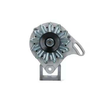 Alternateur BV PSH 505.017.055.058
