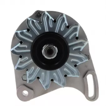 Alternateur BV PSH 505.017.065.058