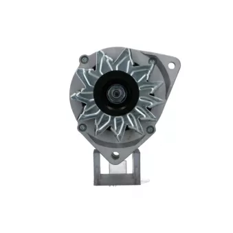 Alternateur BV PSH 505.020.085.010