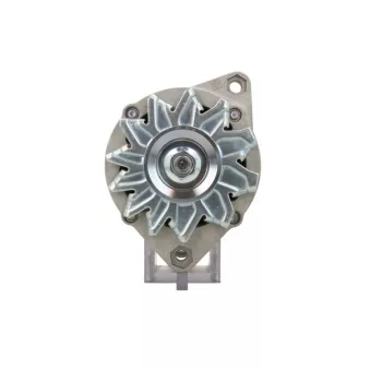 Alternateur BV PSH 505.024.065.311