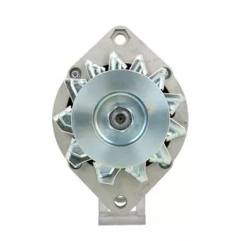 Alternateur BV PSH 505.030.045.311