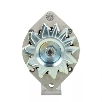 Alternateur BV PSH 505.034.070.311