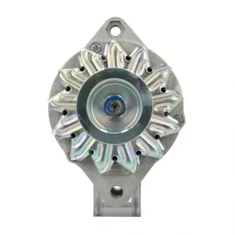 Alternateur BV PSH 505.038.065.261