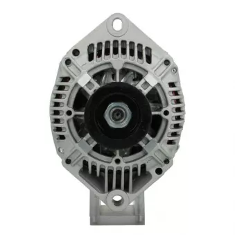 Alternateur BV PSH 505.518.080.000