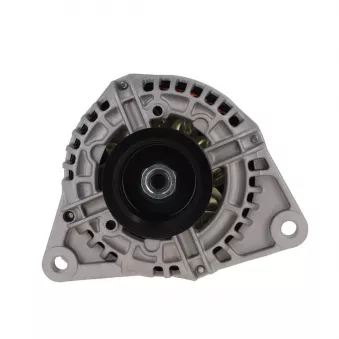 Alternateur BV PSH 505.529.120.018