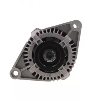 Alternateur BV PSH 505.530.065.058