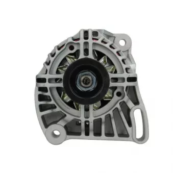 Alternateur BV PSH 505.535.070.050