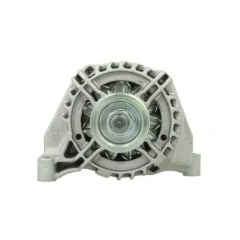 Alternateur BV PSH 505.560.120.260