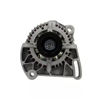 Alternateur BV PSH 505.569.090.050