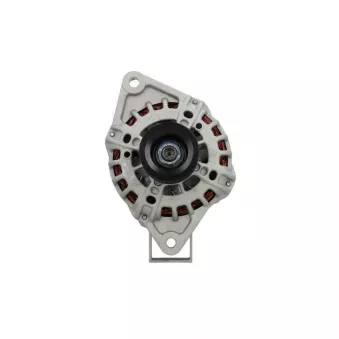 Alternateur BV PSH 505.577.110.010