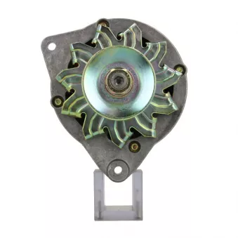 Alternateur BV PSH 515.007.045.310