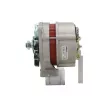 Alternateur BV PSH 516.008.035.310 - Visuel 2