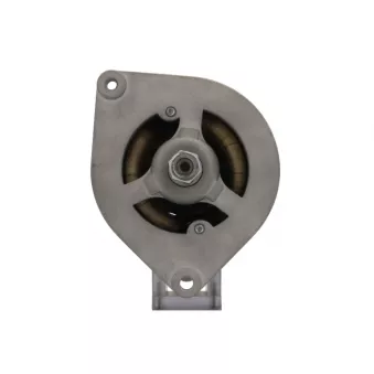 Alternateur BV PSH 545.002.022.100