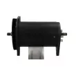 Alternateur BV PSH 545.003.022.100 - Visuel 2