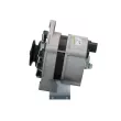 Alternateur BV PSH 545.005.120.090 - Visuel 2