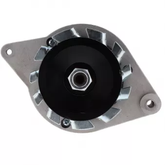 Alternateur BV PSH 555.001.033.099