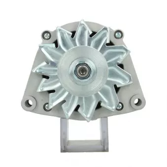 Alternateur BV PSH 555.009.080.010