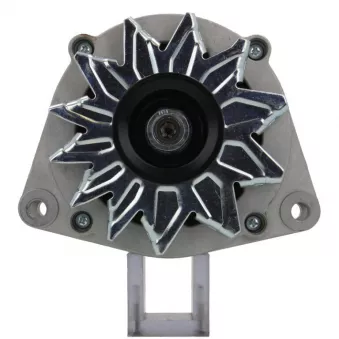 Alternateur BV PSH 555.010.080.010
