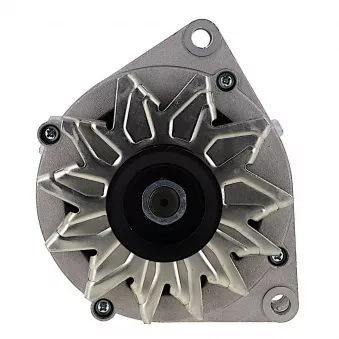 Alternateur BV PSH 555.010.080.018