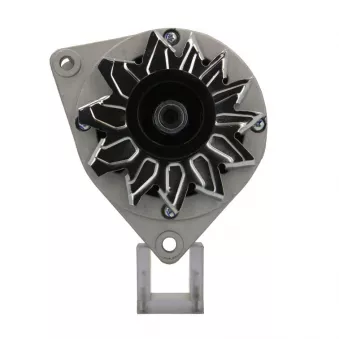 Alternateur BV PSH 555.013.055.010