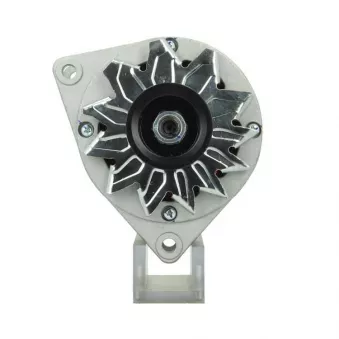 Alternateur BV PSH 555.013.070.011