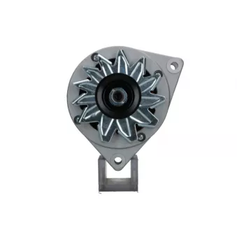 Alternateur BV PSH 555.013.070.019