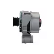Alternateur BV PSH 555.013.070.019 - Visuel 2