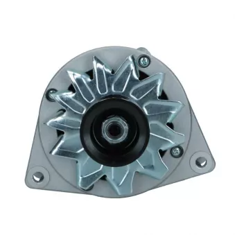 Alternateur BV PSH 555.013.070.208